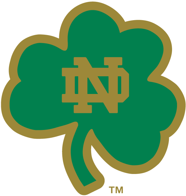 Notre Dame Fighting Irish 1994-Pres Alternate Logo v15 iron on transfers for clothing
